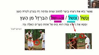 דף יומי מסכת מכות דף ח Daf yomi Masechet Makkot page 8  ע"י יוני גוטמן (שיעורי הדף היומי ב-20 דקות – מועבר ע"י ר' יוני גוטמן – לעילוי נשמת אביו ר' אלימלך צבי (צביקה) גוטמן ז"ל) - התמונה מוצגת ישירות מתוך אתר האינטרנט יוטיוב. זכויות היוצרים בתמונה שייכות ליוצרה. קישור קרדיט למקור התוכן נמצא בתוך דף הסרטון