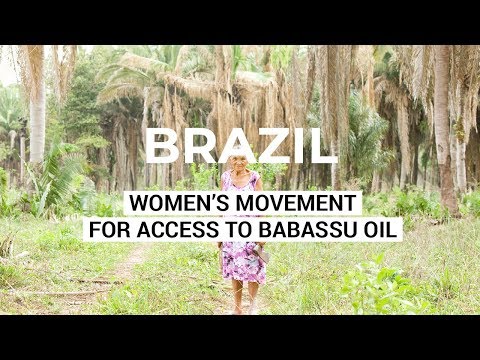 Brazil’s Warrior Women - A Women’s Grassroots Movement for Access to Babassu Oil - Brazil