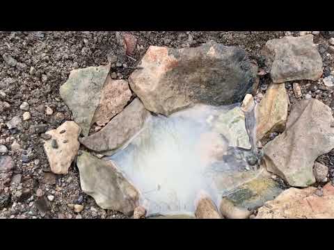 Seep well survival drinking water