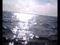 Sailing Sailing Over The Ocean Blue