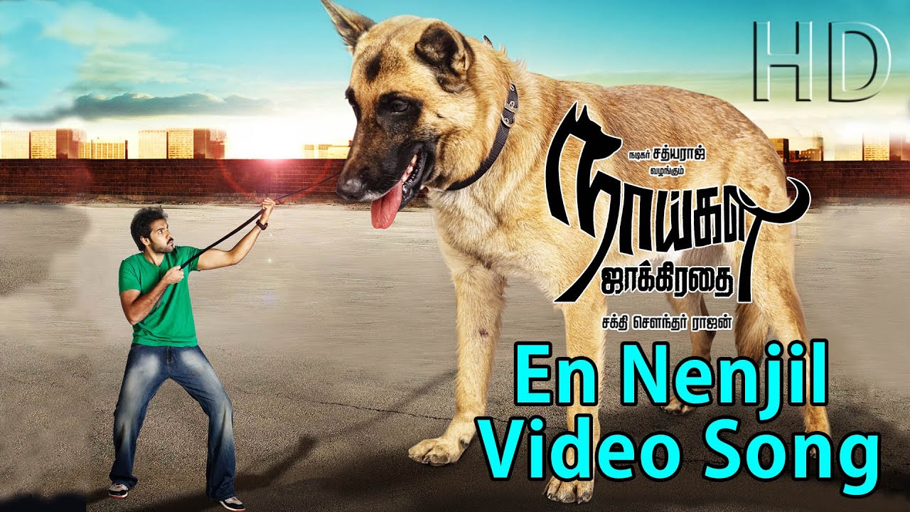 En Nenjil Lyrics  | Naaigal Jaakirathai | Sibi Sathyaraj, Arundathi | Naresh Iyer | Dharan Kumar