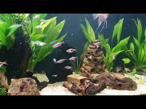 Oase Highline Projekt - Plastik raus