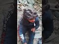 Rape Video