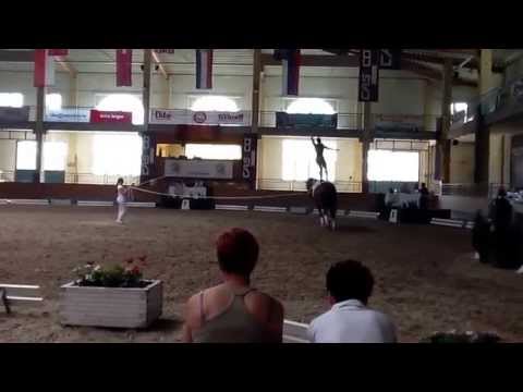 CVIO Stadl Paura 2014 - Isabel Fiala - Technical Test