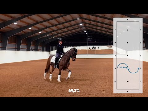 Ebba Lindholm rider FEI Lagprogram Ponny (med kommentarer)