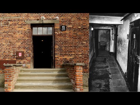 The Brutal Torture Of Auschwitz' Block 11