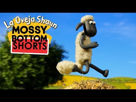 Bala de Paja - Mossy Bottom Shorts - La Oveja Shaun