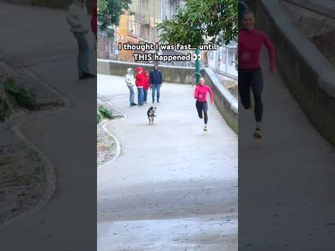 I was NOT READY for THIS…👀#race #running #dog #shorts