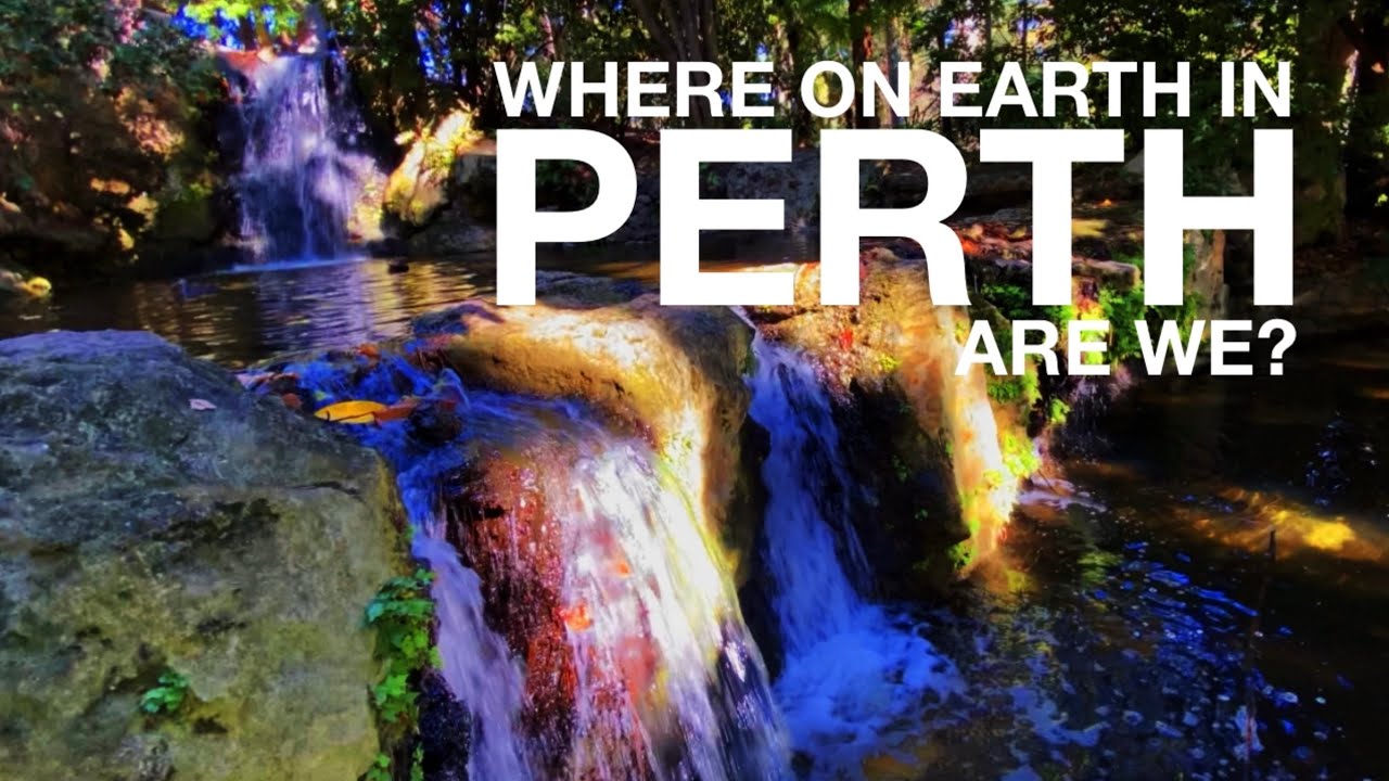 Explore through John Oldham Park from the lens of a visitor.