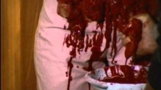 Sickening Gore - Covered In Blood (Color Me Blood Red horror music video)