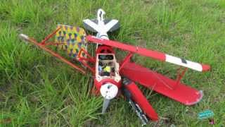 RC Albatros D.Va WWI Warbird - Crash