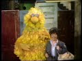 0381 Big Bird S Ballet Dance