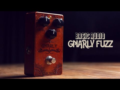 Gnarly Fuzz by Basic Audio | RockBoard