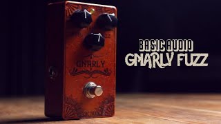 Basic Audio Gnarly Fuzz Pedal - What To Know & Where To Buy