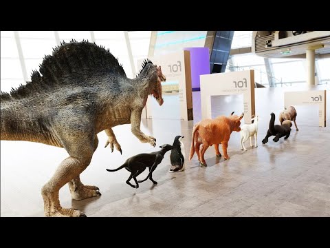 Can These 55 Animals Cross Under the Bridge? Watch Which One Fails!