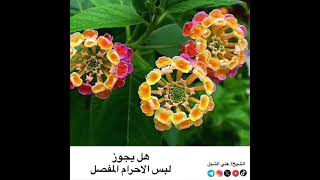 صورة أ.د. علي الشبل | هل يجوز لبس الإحرام المفصل