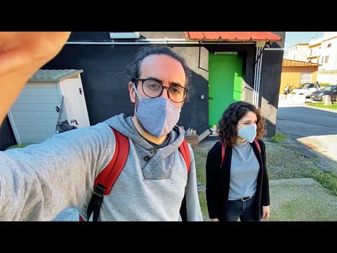 THEY REPLACED ME - Dry Dog