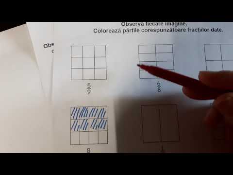 Fracții - Recapitulare (cls. a II-a)