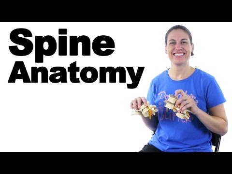 Meet My Wellden International Skeleton Ask Doctor Jo