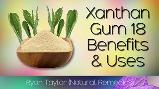 Xanthan Gum: Benefits and Uses
