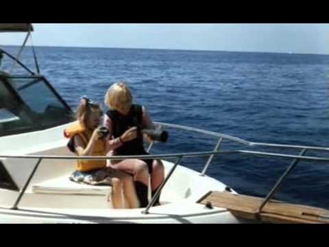 Wieloryby - Tajemniczy mieszkańcy oceanów. Film dokumentalny Część  3/3