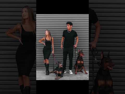 Lexi Rivera & Andrew Davila | doberman photoshoot | yourfriendandre
