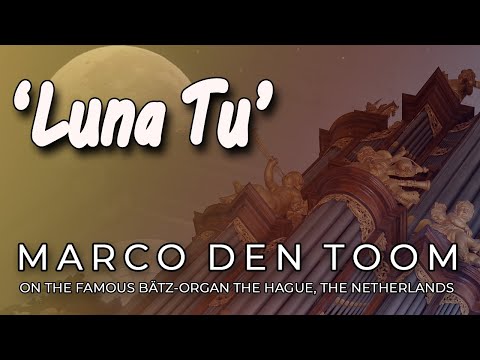 Luna Tu (church-organ) R. Musumarra - Luth. Kerk, Den Haag door Marco den Toom