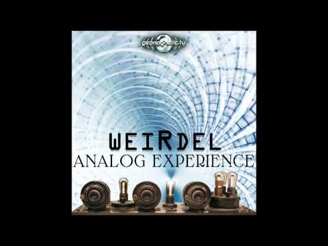 WeirDel - Deep Forest Geomagnetic Records 2013