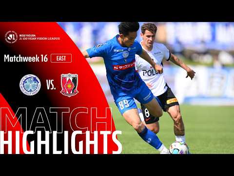 bg-highlight