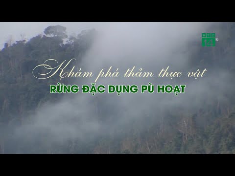 Khám phá thảm Thực Vật Rừng Đặc Dụng Pù Hoạt