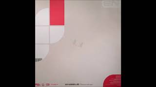 Brian Sanhaji - Styles (A2)
