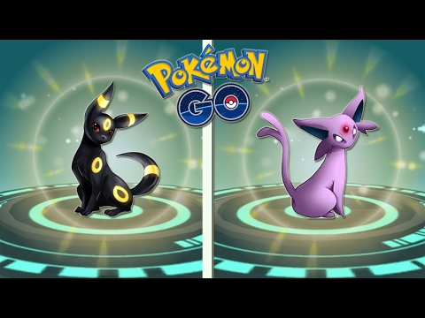 download lagu mp3 mp4 Tamao Espectacular, download lagu Tamao Espectacular gratis, unduh video klip Tamao Espectacular