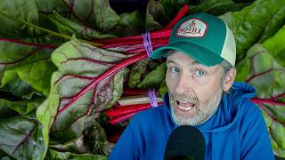 Uh Oh! Water Bankruptcy + Swiss Chard Deep Dive