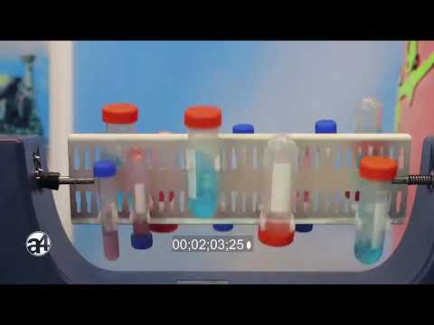 ONLIFE TV video
