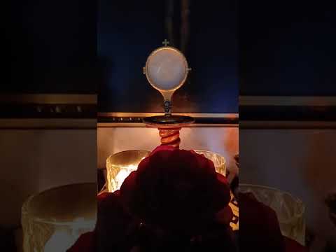 Adoración al Santísimo Sacramento del Altar con el Padre Fabian Esteban Oliva. 12/05/26