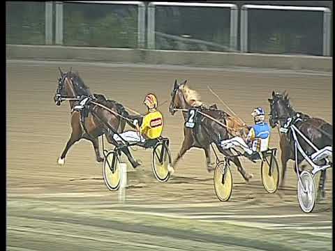 Trotto 14/07/2017 - 4ª corsa