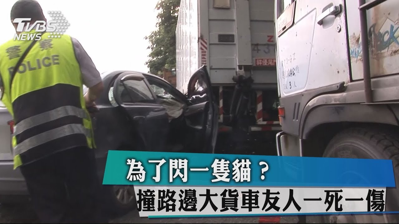 為了閃一隻貓? 撞路邊大貨車友人一死一傷
