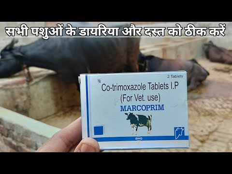 Co Trimoxazole Tablets I.p., Packaging Type: Box
