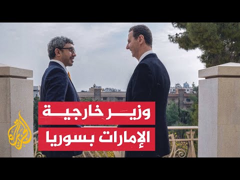 شاهد بشار الأسد يستقبل وزير الخارجية الإماراتي عبد الله بن زايد في دمشق