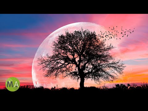 12-Hour Deep Sleep Music with Delta Wave Isochronic Tones - Black Screen