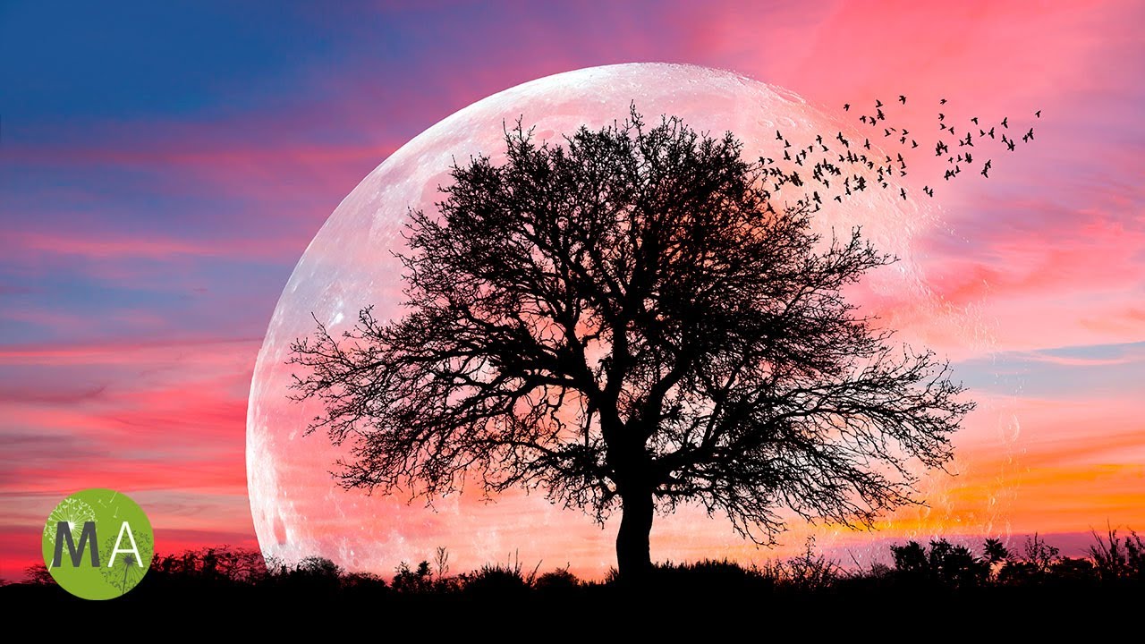 12-Hour Deep Sleep Music with Delta Wave Isochronic Tones - Black Screen