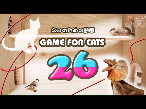 GAME FOR CATS 26 [Cat Video MIX26] Mouse, Lizard, Bird, String 4 hours