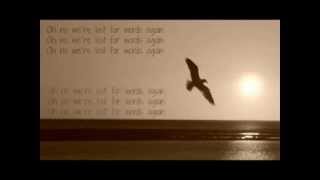 All the luck in the world  trivago Never Lyrics