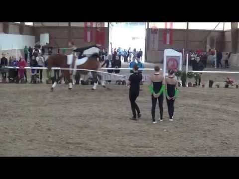 Einzel A Pflicht - Laurino - RVV Messendorfberg - 1. STMK-Cup 2014