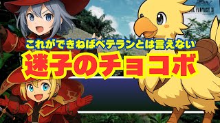 【FFXI】これが出来なきゃベテラン冒険者じゃない！迷子のチョコボ【FF11】