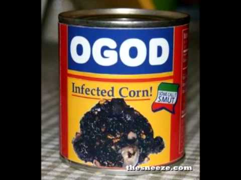 duck sauce & o-god - barbara streisand (tefal mushup)