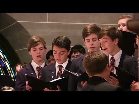 Raleigh Boychoir Performing Choir - Alleluia (Exsultate, Jubilate) - Mozart