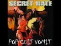 Secret Hate - Guitardo