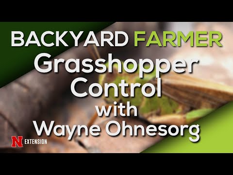 Grasshopper Control