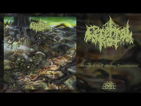 CEREBRAL ROT - Swamped In Festering Excrementia (From 'Odious Descent Into Decay' LP, 2019)